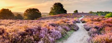 Hoteles en Veluwe