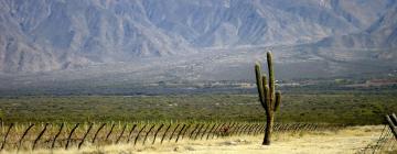 Hotels in Salta Wine Route