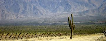 Hoteles en Ruta del vino de Salta