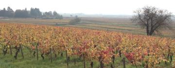 Hotels in Burgundy vineyards