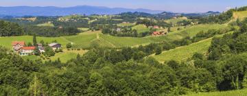 Ferienwohnungen in der Region Steiermark