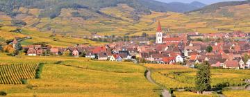 Maisons d'Hôtes dans cette région : Alsace