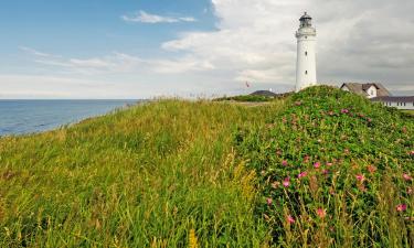 Hotels a Nordjylland