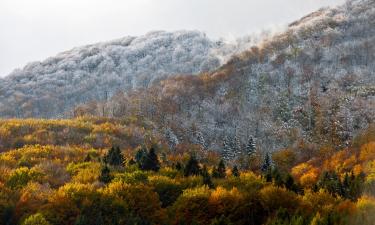 Hoteles en Notranjska