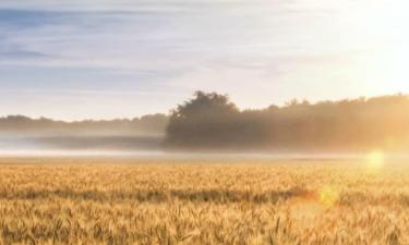 Hôtels dans cette région : Kansas