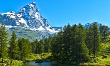 Monte Cervino Ski Area: appartamenti