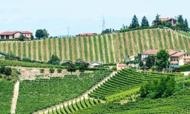 Hotels in Langhe
