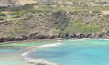 Hoteles en Isla de Hawái