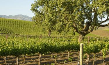 Santa Barbara Wine Country : nakvynės su pusryčiais namai