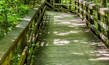 Hoteles que aceptan mascotas en Congaree National Park