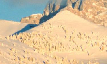 Hostales en Grand Targhee