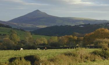 Hoteles en Condado de Wicklow