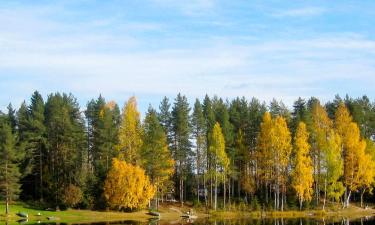 Huvilat alueella Tahko