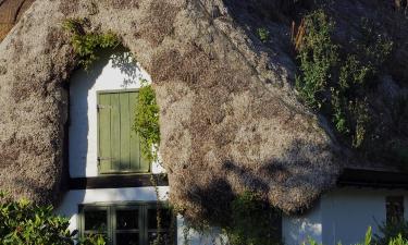 Husdjursvänliga hotell på Læsø