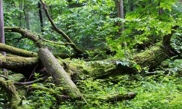 Landsteder i Los Alcornocales naturpark