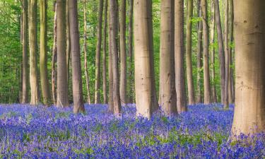 Hôtels dans cette région : Province du Brabant wallon