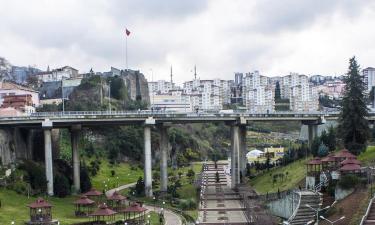 Hoteles en Trabzon Province