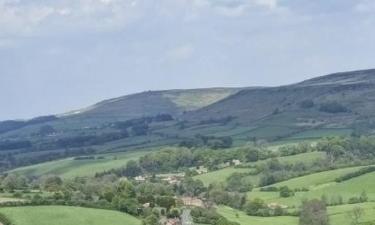 Bed and breakfasts en North Yorkshire Moors