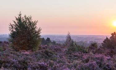 Hotellid regioonis De Kempen