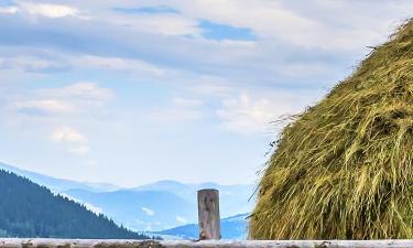 Guest Houses in Bukovina