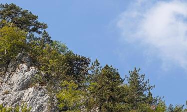 Hoteli u regiji 'Planina Tara'