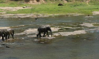 Hoteles en Kegalle District