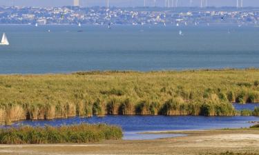 Hoteles en Seewinkel