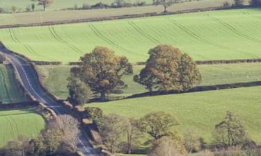 Mga B&B sa Powys