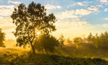 Hotels in der Region Noord-Limburg