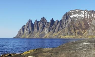 Villaer på Senja