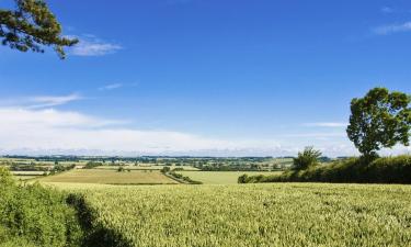 Hotely v regionu Bedfordshire