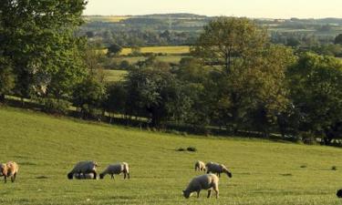 Ξενοδοχεία σε Northamptonshire