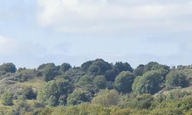 Cottages dans cette région : Vallée de Glamorgan