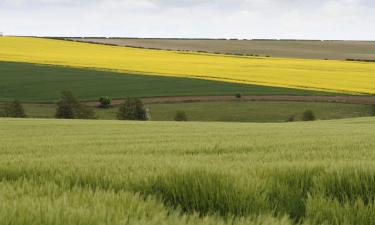 Hoteli pogodni za kućne ljubimce u regiji Lincolnshire Wolds