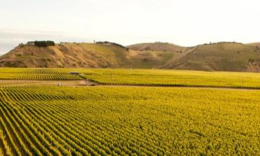 Hoteles en Hawke's Bay