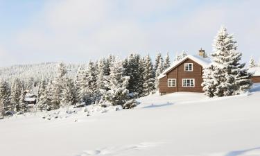 Hôtels dans cette région : Lillehammer