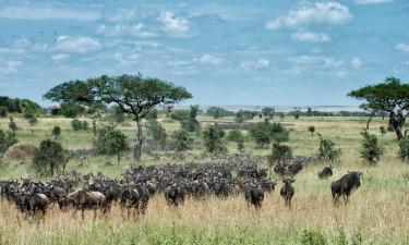 Hoteller i Serengeti