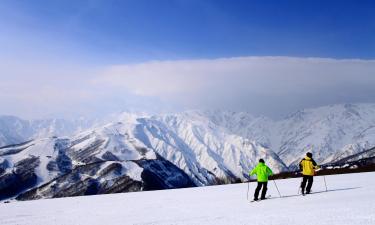 Hotéis que aceitam pets em: Área de Esqui de Hakuba