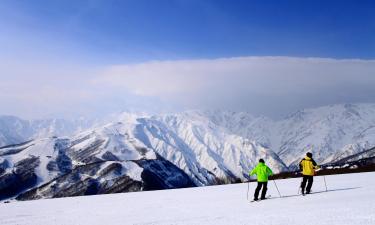 Hoteles que aceptan mascotas en Hakuba Ski