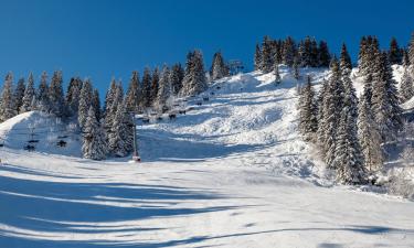 Cabins in Les Portes du Soleil