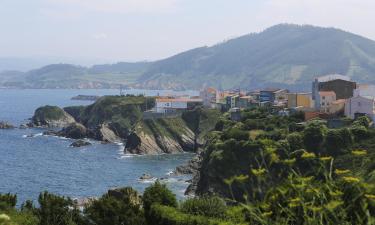 Country Houses in Altas Estuary