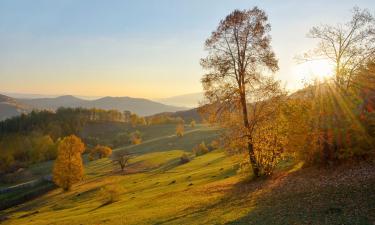 Готелі в регіоні Vrancea