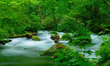 Hotels in Aomori