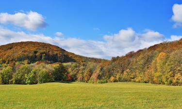 Vienna surrounding – hotely