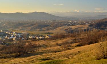 Maisons d'Hôtes dans cette région : Doftana Valley