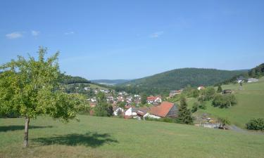 Spa hotels in Spessart