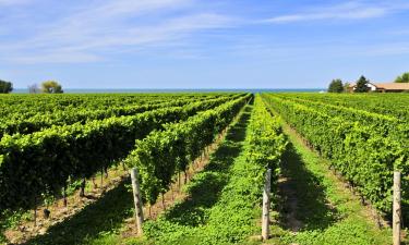 Maisons d'Hôtes dans cette région : Chutes du Niagara et pays des vignobles