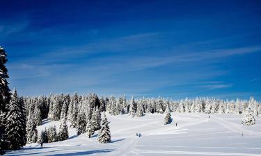 Apartments in Rogla