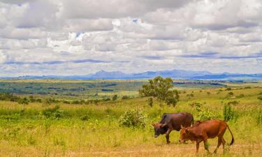 โรงแรมในLilongwe City