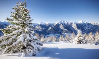 Cottages in Gastein Valley